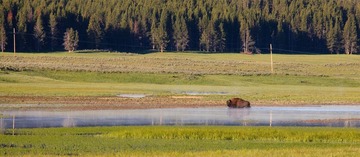 yellowstone_day2-8