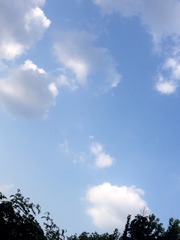 6065454F-7AC9-45F9-B6C1-0ECB67BBEBD0/L0/001
