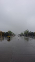 D99E9144-410F-4F24-9369-1FBA282F8912/L0/001