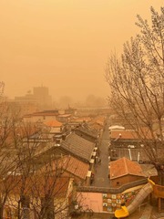 童趣无处不在