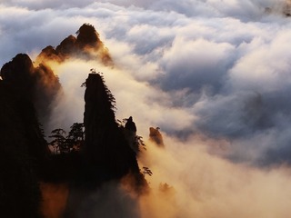 天伦之乐