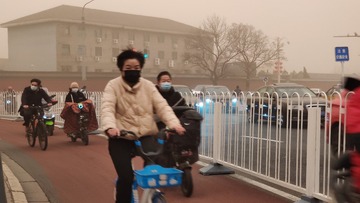 蝴蝶结