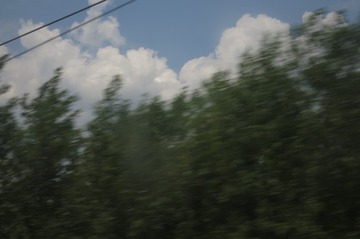 44003
