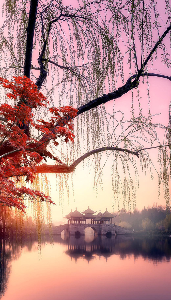 春夏秋冬的西湖 - 美景摄影师毛毛 - 图虫