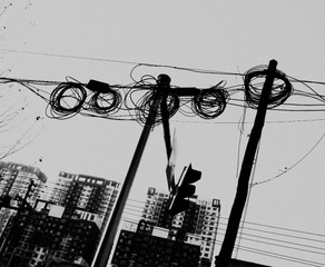P1750785_副本