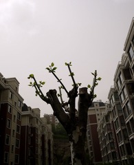 P1190339_