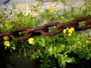 P1200346_