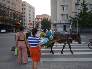 P1000611_