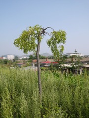 P1010679_