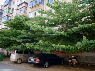P1200867_