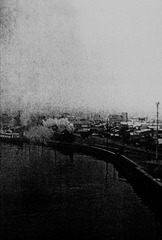 P1750662_副本