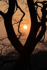 IMG_3289.JPG