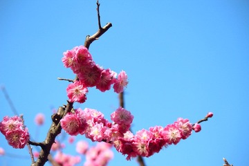 IMG_3468_rev.jpg