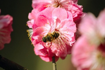 IMG_3470_rev.jpg