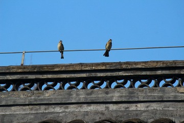 IMG_3496_rev.jpg