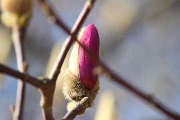 IMG_3497_rev.jpg