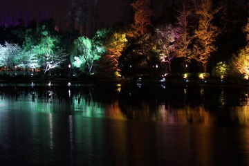 IMG_3530.JPG