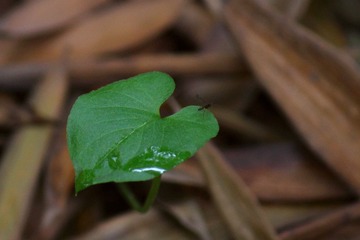 IMG_3859_rev.jpg