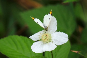 IMG_3870_rev.jpg