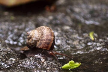 IMG_3884_rev.jpg