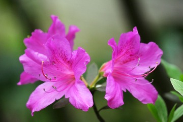 IMG_3945_rev.jpg