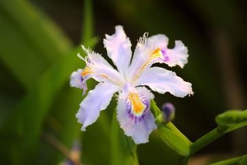IMG_3633_rev.jpg