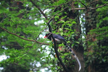 IMG_4041_rev.jpg