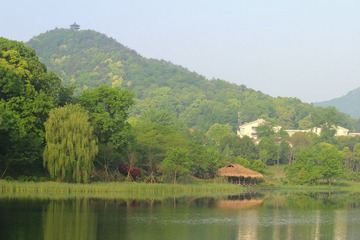 IMG_4054_rev.jpg