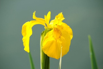IMG_4068_rev.jpg