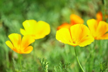 IMG_4150_rev.jpg