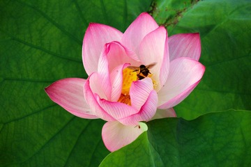 IMG_4906_rev.jpg