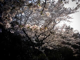 C360_2012-04-03-16-17-37_org.jpg