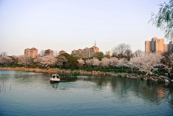 DSC_4346.jpg