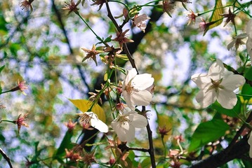 DSC_4588.jpg