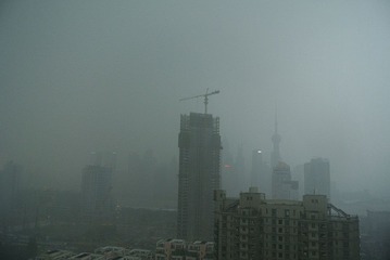 DSC_8710.jpg