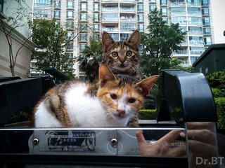 C360_2012-06-28-12-52-44_org.jpg