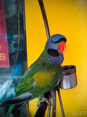 C360_2012-06-30-15-47-08_org.jpg