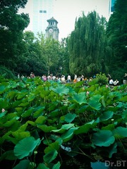 C360_2012-07-08-16-38-47_org.jpg