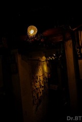DSC_0916.jpg