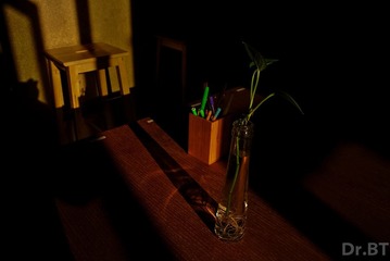 DSC_1023.jpg