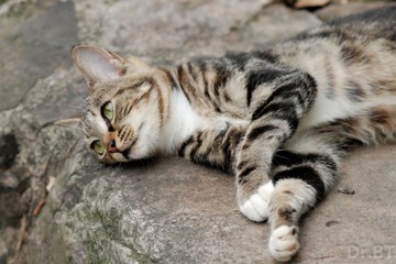 DSC_5492.jpg