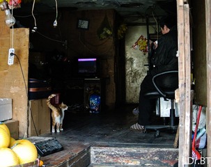 DSC_3557.jpg