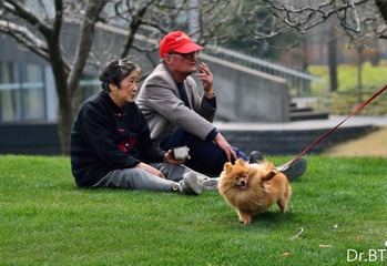 DSC_0162-3.jpg