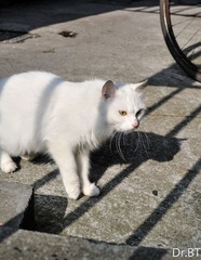 DSC_4787.jpg