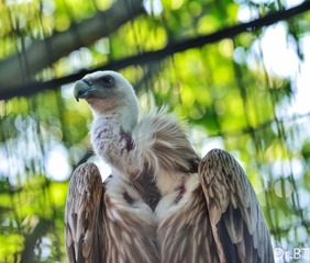 DSC_1705.jpg
