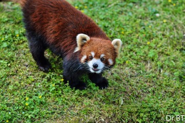 DSC_1650.jpg