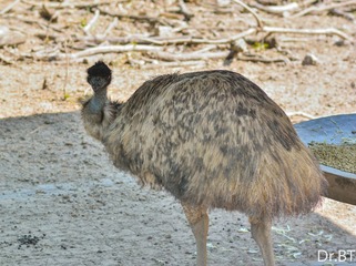 DSC_1552.jpg