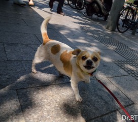 DSC_1399.jpg