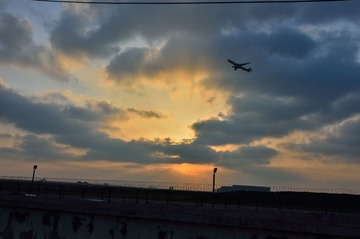 DSC_1597.jpg
