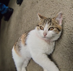 DSC_2432.jpg